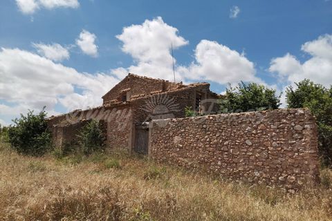Landejendom i Yecla, Murcia, Yecla - € 65.000 | Ref: SF0314 - foto 4